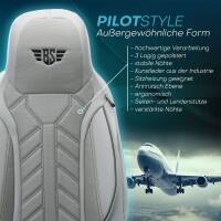 Pilot Sitzbezüge für Ford Fusion ab 2005-2012 (Grau) APOL508