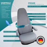 Pilot Wohnmobil Sitzbezüge für Dethleffs Trendline I 650 (Grau) POSE709